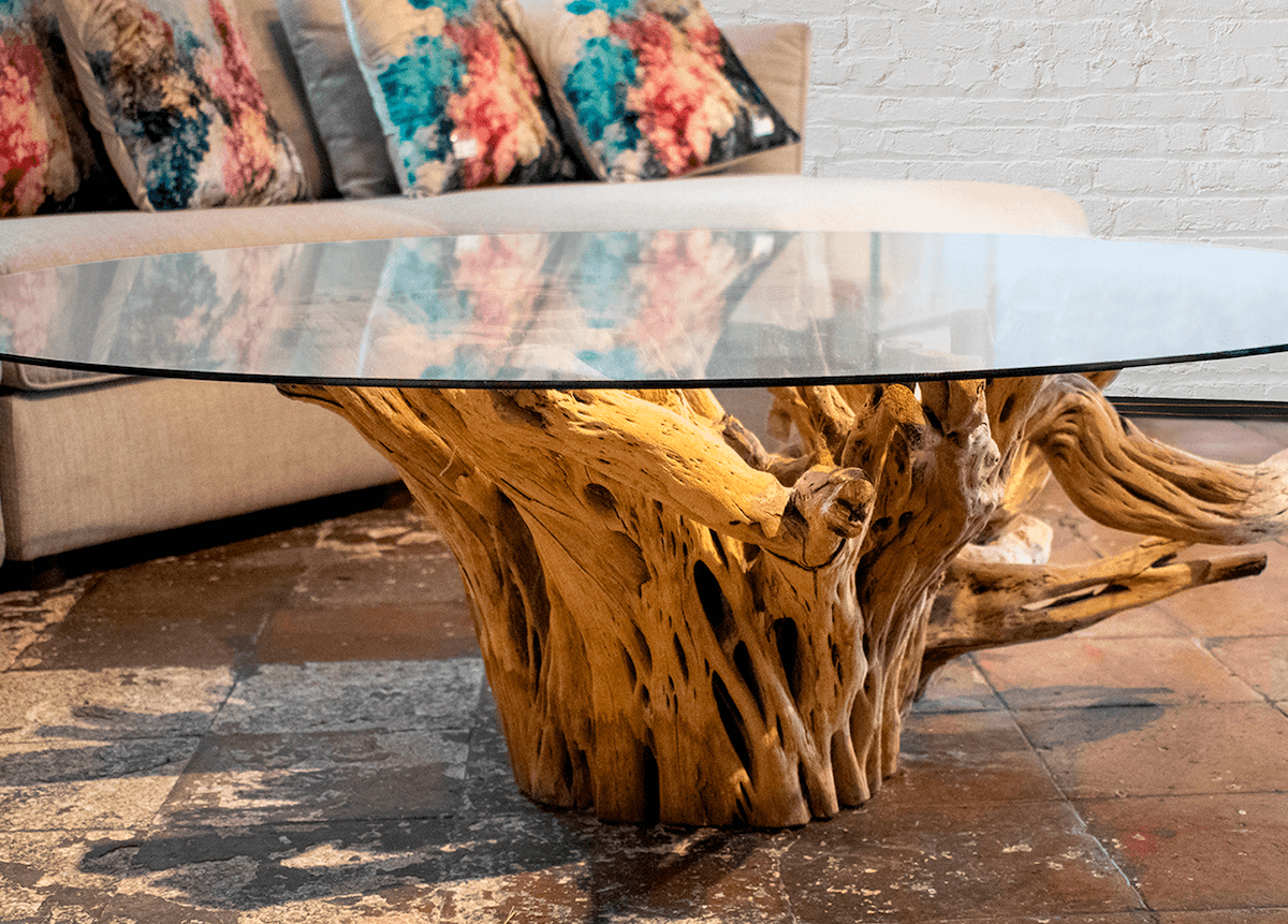 Cactus wood coffee table in a living room