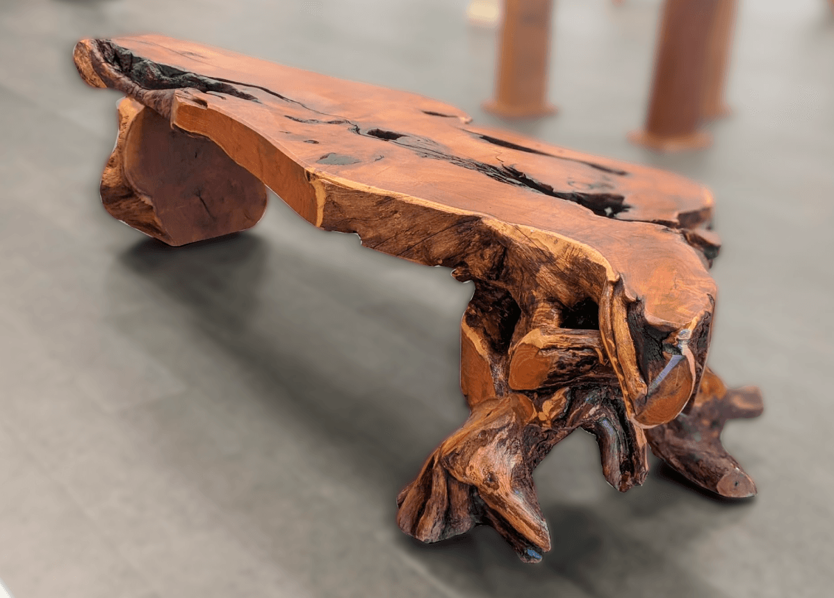 Live-edge parota wood bench on the gallery floor at El Dorado Gallery