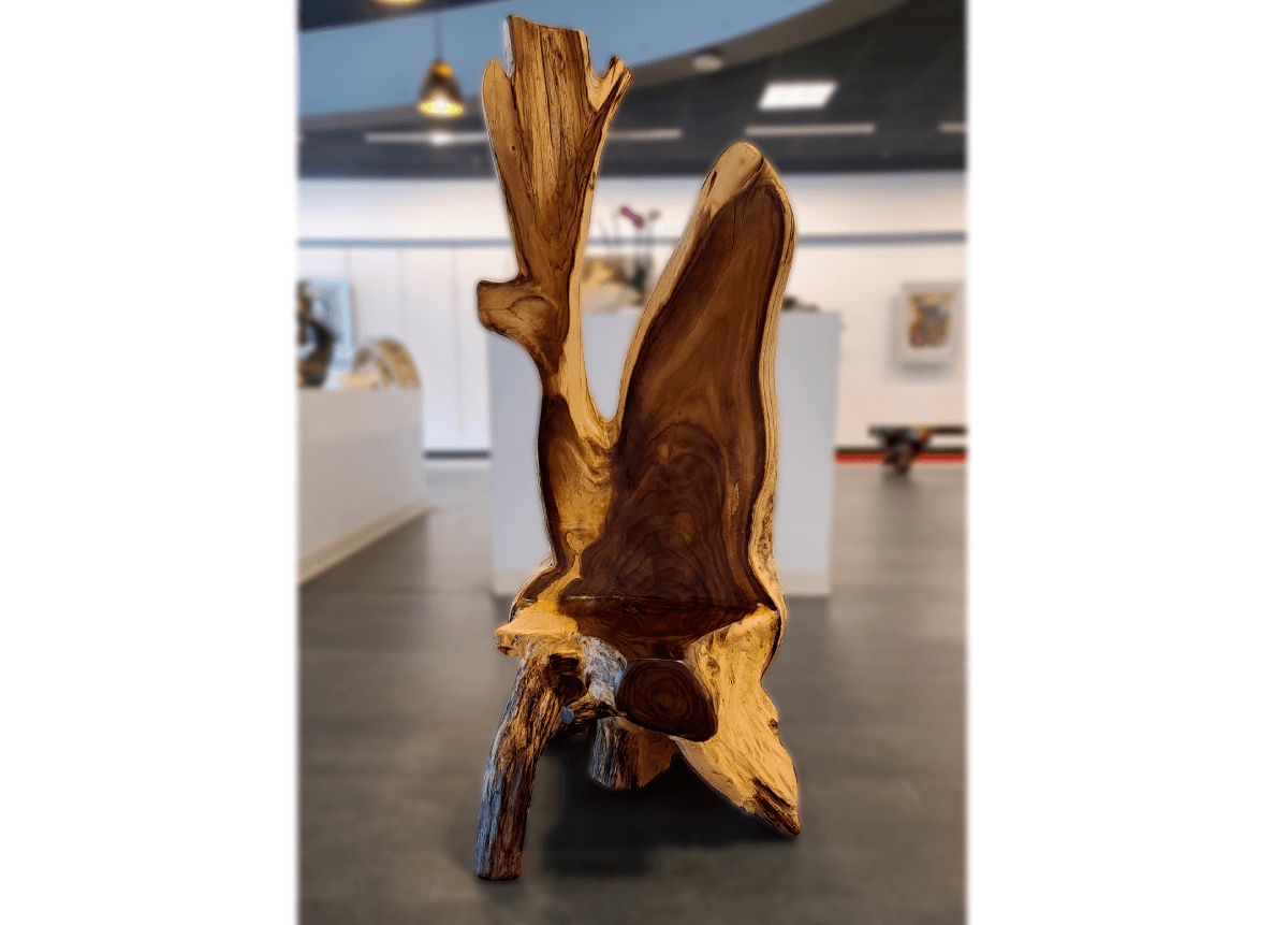 Sculptural parota wood chair inside El Dorado Gallery at Hill Country Galleria